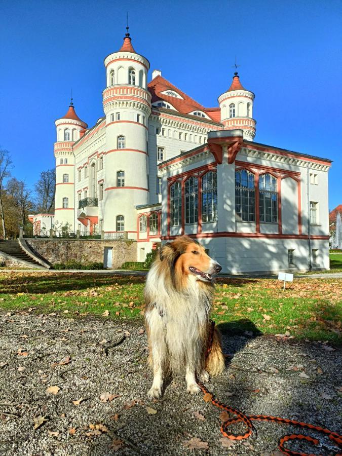 Apartament Widokowy Karkonosze Warmbrunn Eksteriør billede